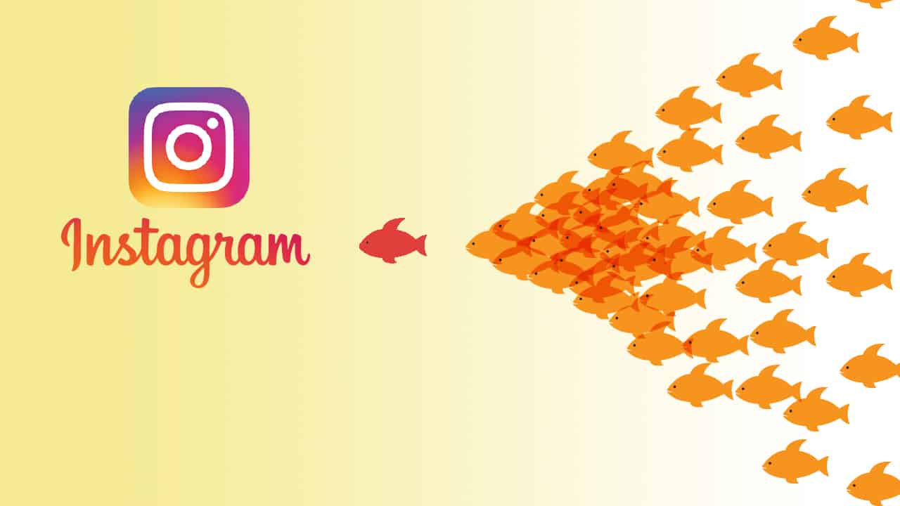 How to Gain Your 1st 1000 Followers on Instagram - 1280 x 720 jpeg 26kB